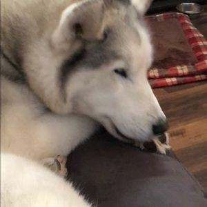 Meet your Posher, Kara